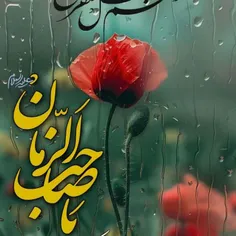 ❤️🤍💚 ﷽  🦋🦋🦋