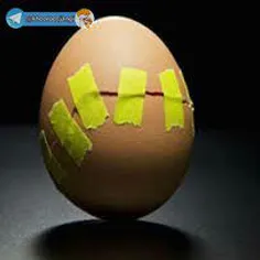 اگر تخم مرغ از بیرون بشکند، زندگے پایان مےیابد 