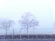 📸 عکسی از یک روز مه آلود مشهدی 
