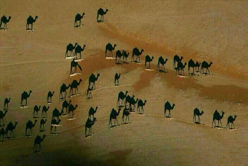 این عکس از ارتفاع، در صحرا ب هنگام غروب گرفته شده است.