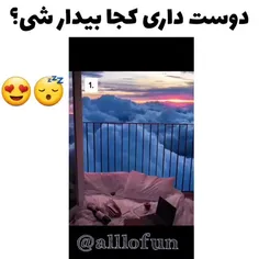 هیچکدوم 😹