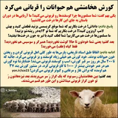 این عکس هم تقدیم به دروغگویانی که میگن در ایران باستان به