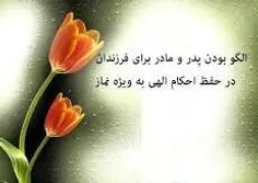 مذهبی hezan 17990899