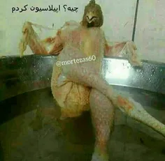 ههههه