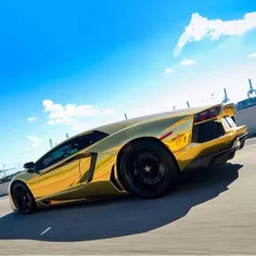 Gold Aventador