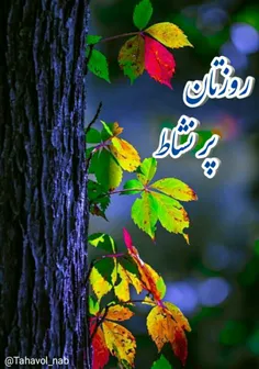 امروز همہ را