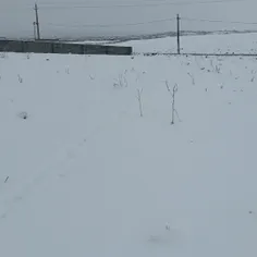 اولین برف ،تهران دماوند هاشمک 