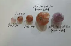 واحد جدید سکه پیاز؟﻿😂 😂