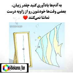 شخصی meisam_1989 48962910