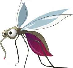 اخیرا دانشمندان مهندسی ژنتیک، پشه‌ ها را دستخوش تغییراتی 