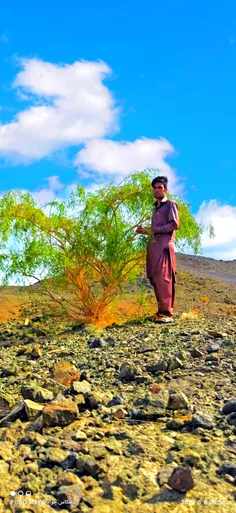 عکس جوادسردارزهی از روستای میدان 