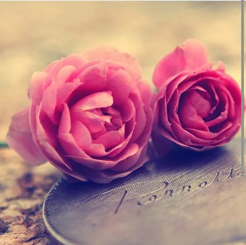 گل را تقدیمت مکنم با عشق