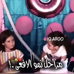 #شوفوا_البنات