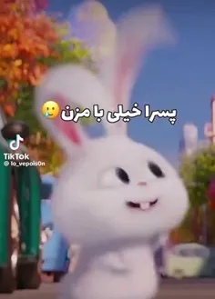 نچرالا دستا بالا 