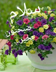 صبح خوشگلتوטּ بخیر🌼 🍃 