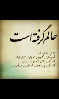 حالم گرفته است