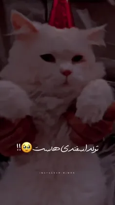 تولدتون مبارک 🥺❤️