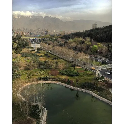 The greenery on the sides of the Modarres motorway and th