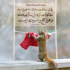 ▫️امیرالمومنین على عليه السلام نقل می‌کنند:
