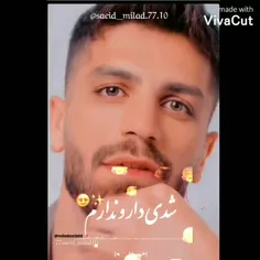 شدی دار ندارم.......❤🧿😍✌