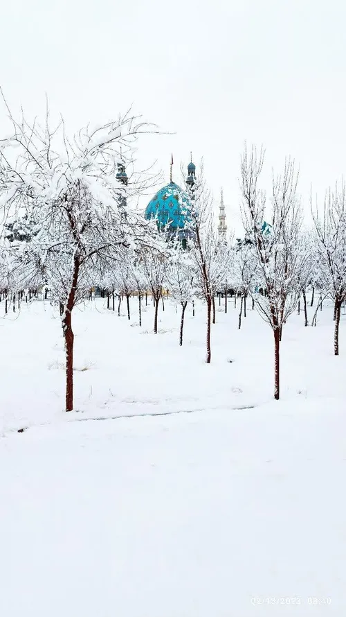 اینم از قشنگی های روز برفی❄️☃️😍🩵