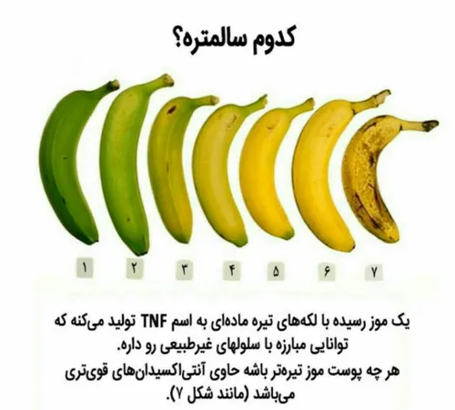 طنز و کاریکاتور fati.73 21562232 - عکس ویسگون