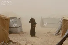 آوارگی مردم شهر فلوجه به دست داعش