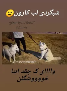 https://instagram.com/parniya_p95zizi2?igshid=10tuls2fgv5