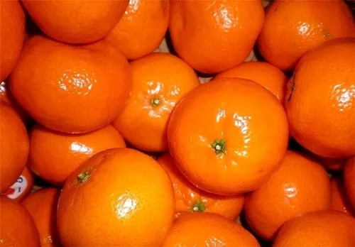 نارنجی های دوست داشتنی😋 نارنگی