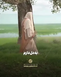 نماهنگ زیبا برای امام زمان عجل الله
جواد مقدم 