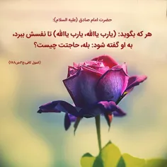 #لبیک_یامهدی #ظهور_نزدیک_است #لبیک_یا_مهدی #لبیک_یاحسین #