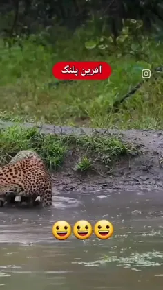 فکر میکنه چیزی شکار کرده 😂