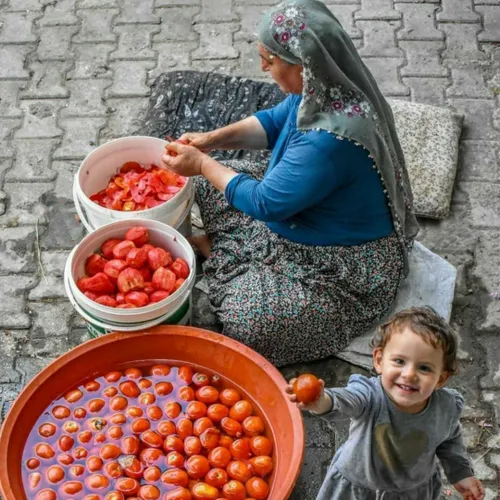 فقط رب پختنشون...