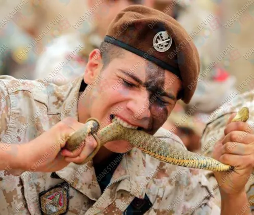 کماندوهای ارتش لبنان مارها را زنده زنده می خورند؛