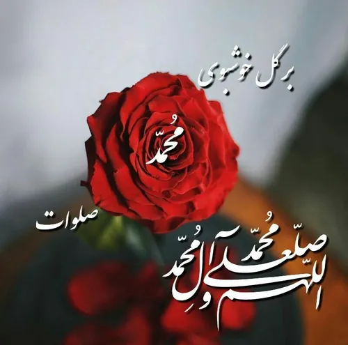 عکس نوشته m_ortez_a 21970725 - عکس ویسگون