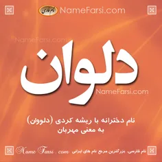 معنی اسم دلوان
