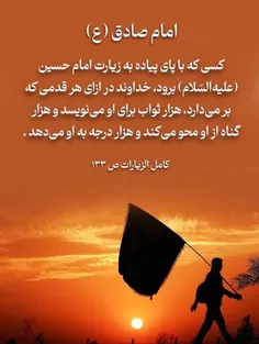 madine_nabi 75963119