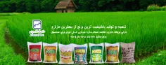 <a href="https://www.berangirane.ir/">خرید برنج عمده</a>
