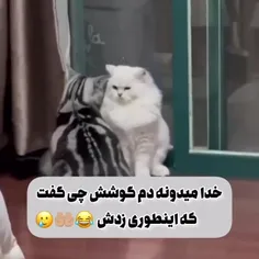 فک کنم موضوع ناموسی بود😅