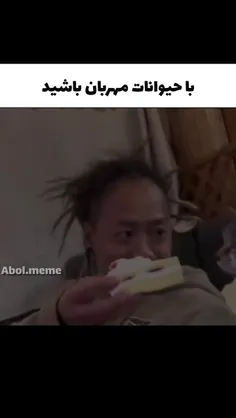 آرام باش گوربآی ارام😂