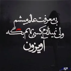 هزار حرف نگفته...