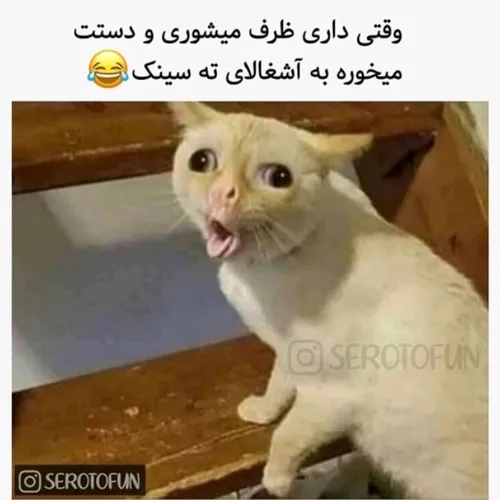 قیافشو🤣🤣🤣