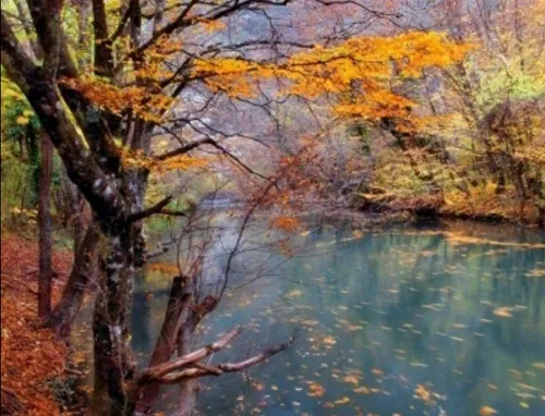 طبیعت آب برکه🌸 🌸