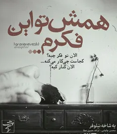 #shakhe-niloofar#mohsen-chavoshi#hossein-safa#neveshte-sa