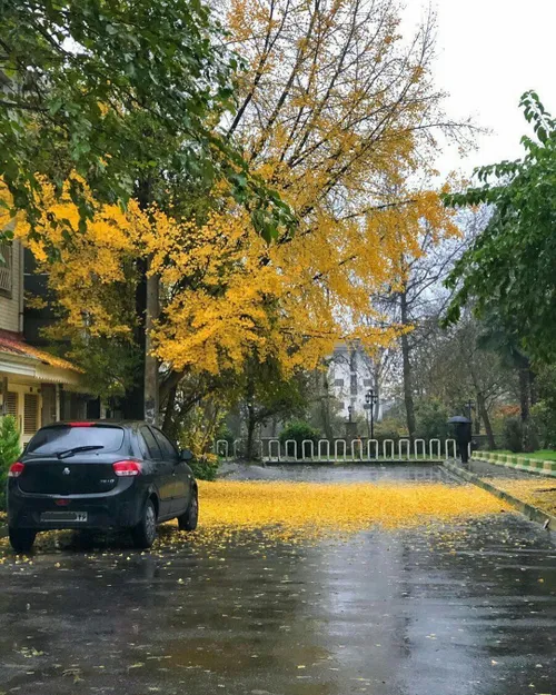 🍂 پاییزی ترین روز رشت