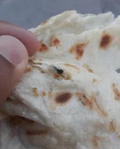 نان با طعم مگس😋 