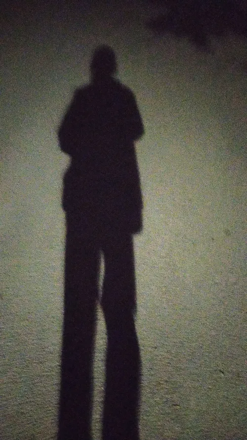 A photo of my shadow