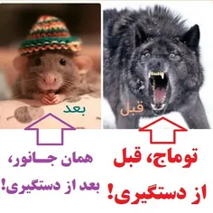 اغتشاشگران قبل و بعد دستگیر شدن!!