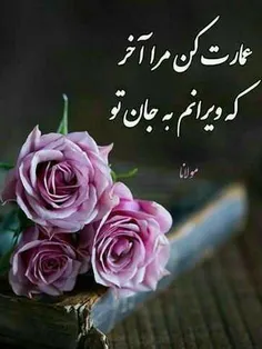 عکس نوشته raminiamini 30360191