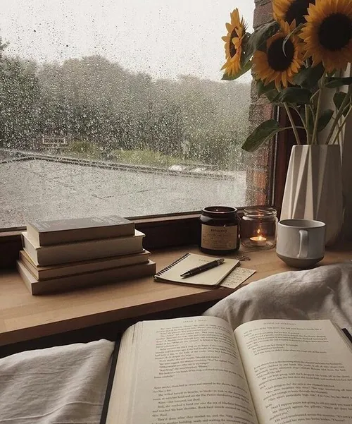 دوست داشتنی ترین حس اینه که پاییز باشه و بارون و یه کتاب 